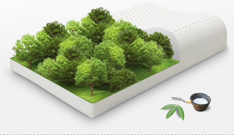 天然乳胶的价格差异怎么这么大呢?