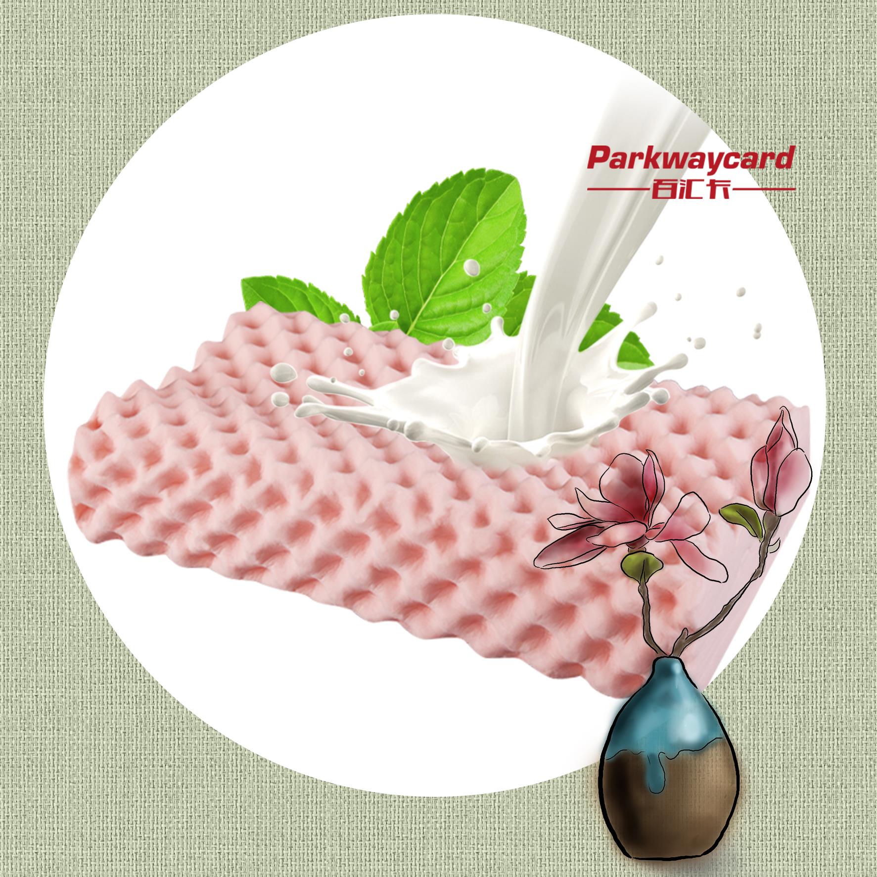 泰国天然乳胶负离子狼牙枕