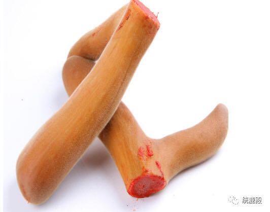 血茸,鹿茸中的极品